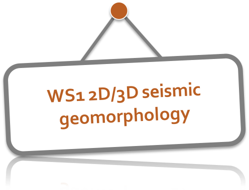 WS1-seismic-geomorphology